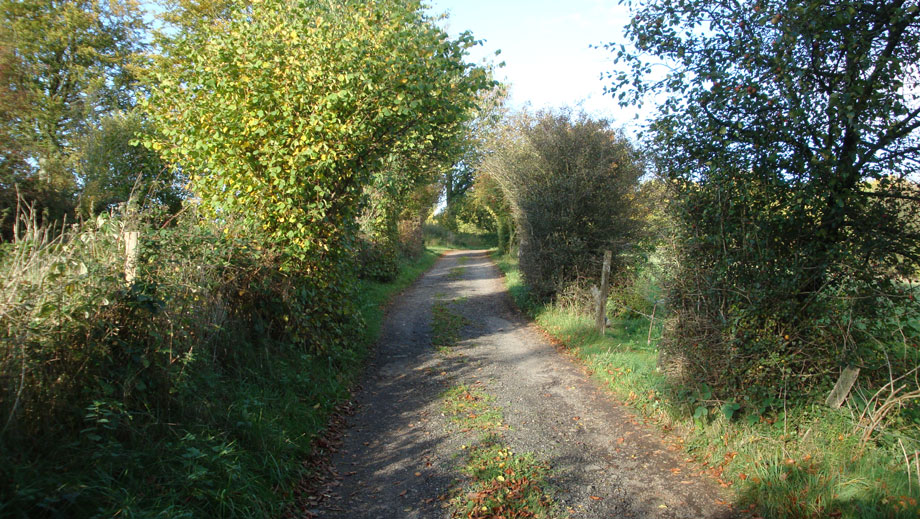 Altes Jagdhaus Zufahrt